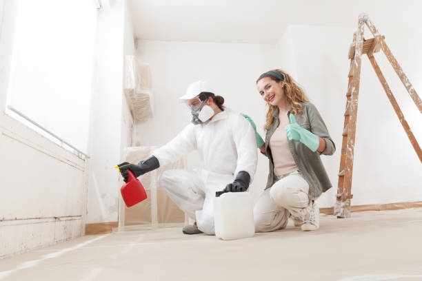 Reliable Marion, MS Mold Removal Solutions